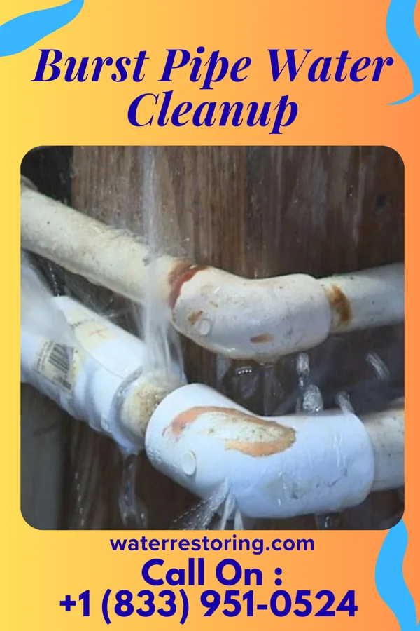 Burst Pipe Water Cleanup in Ellsworth, KS