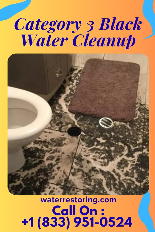Category 3 Black Water Cleanup in Ellsworth, KS